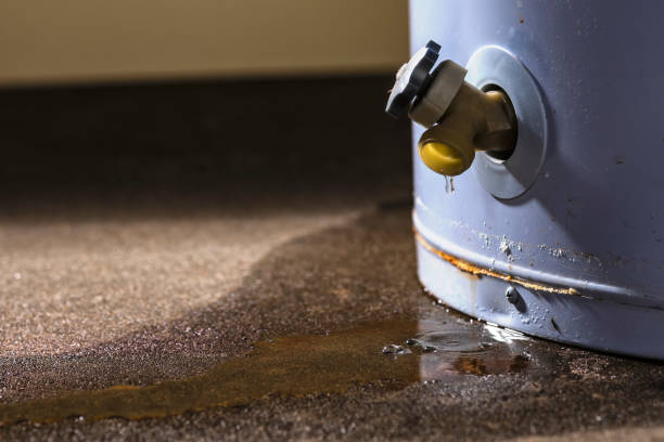 Best Water damage restoration near me  in Overland Park, KS