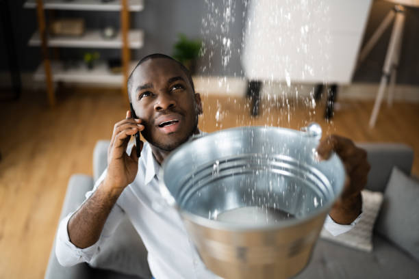 Best Basement water damage restoration  in Overland Park, KS