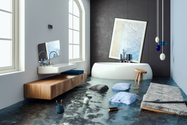 Carpet water damage restoration in Overland Park, KS