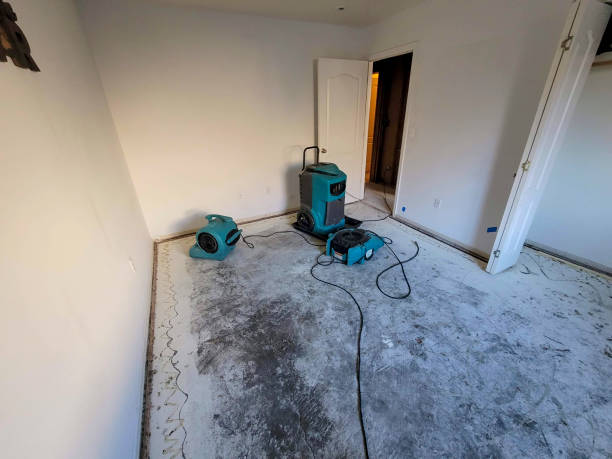 Best Sewage cleanup and water damage restoration  in Overland Park, KS