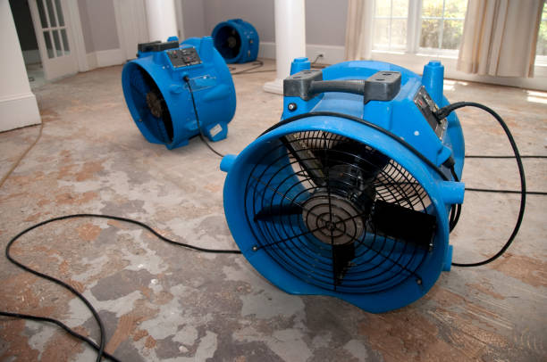 Best 24/7 water damage repair  in Overland Park, KS