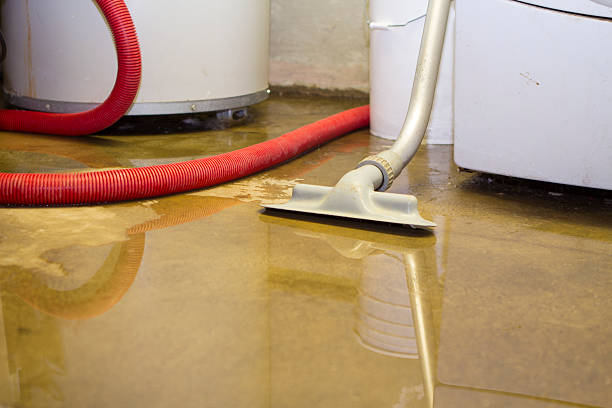 Water damage restoration mold remediation in Overland Park, KS